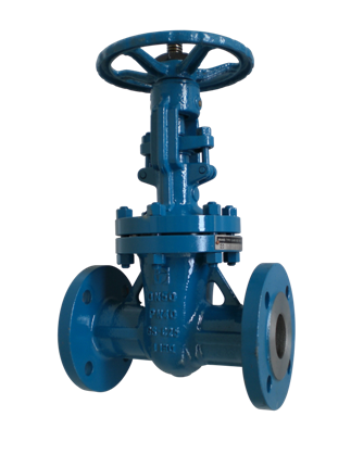 Cast Steel Gate Valve