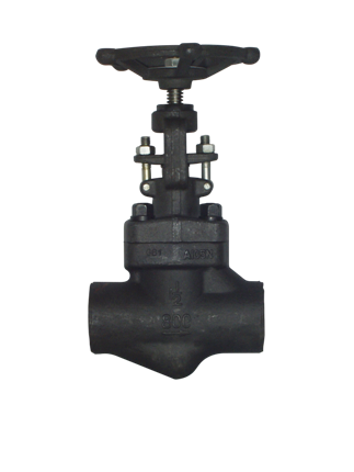 Forged Steel Globe Valve